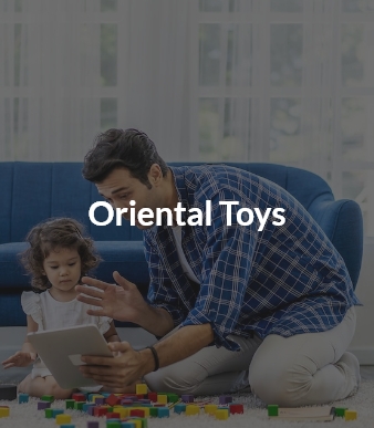 Online Toys Seller 